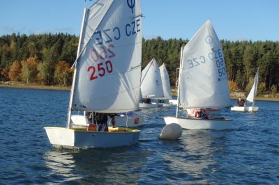 Optimist Race 2022